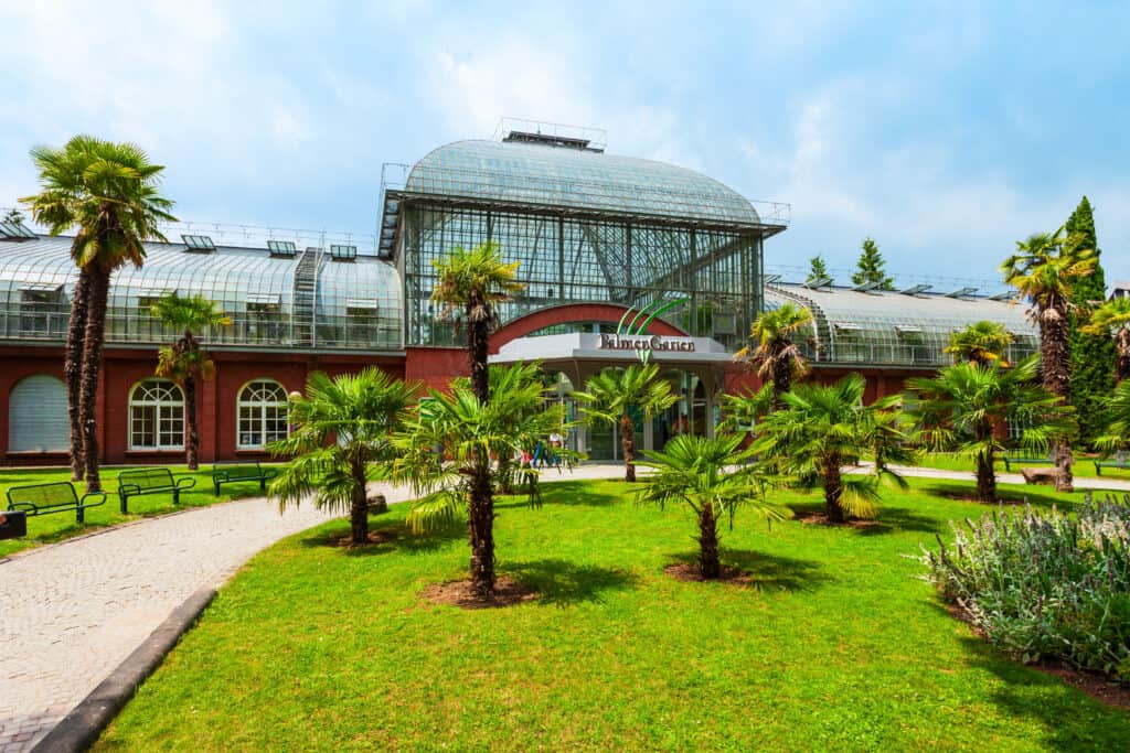 Palmengarten in Frankfurt, a botanical haven with exotic plants and serene pathways