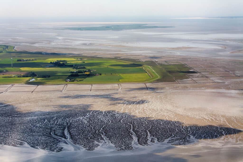 Aerial view of Wadden Sea Island, highlighting vast mudflats and water channels during low tide.