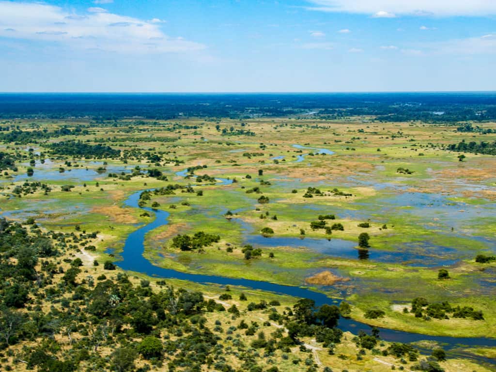 Aerial view of the Okavango Delta in Botswana, showcasing its vast, intricate network of waterways and lush greenery