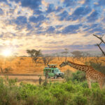 Wide savannahs of Serengeti National Park teeming with wildlife, an ideal destination for nature lovers