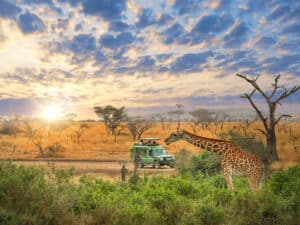 Wide savannahs of Serengeti National Park teeming with wildlife, an ideal destination for nature lovers