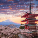 Scenic view of Mount Fuji framed by cherry blossoms, symbolizing the picturesque harmony of Japan's nature