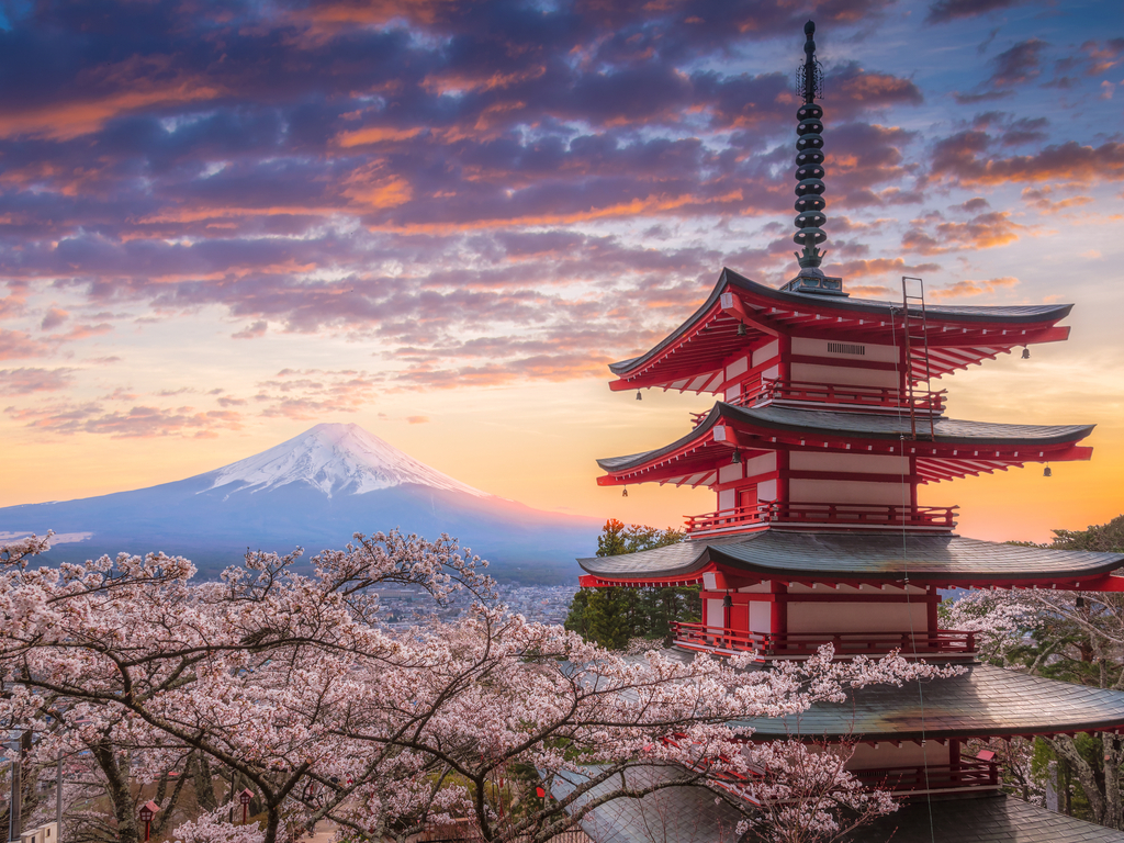 Scenic view of Mount Fuji framed by cherry blossoms, symbolizing the picturesque harmony of Japan's nature