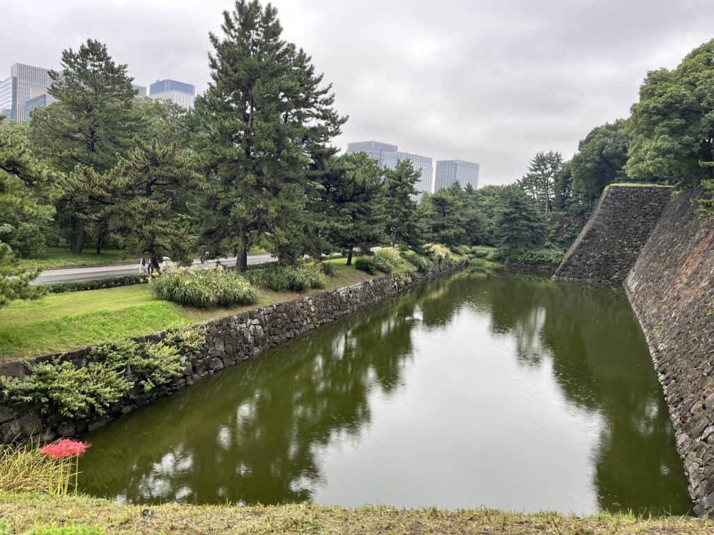 Centuries-Old Sentinels: The Time-Honored Trees of Tokyo Imperial Palace." Alt Text: "Seasonal beauty unfolds among the varied trees in Tokyo Imperial Palace, a harmony of tradition and nature.