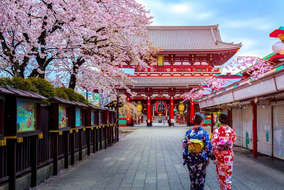 Asia - Japan - Tokyo - Sensoji Tempel during sakura, scherry blossom season, two women in geisha costiumes in front