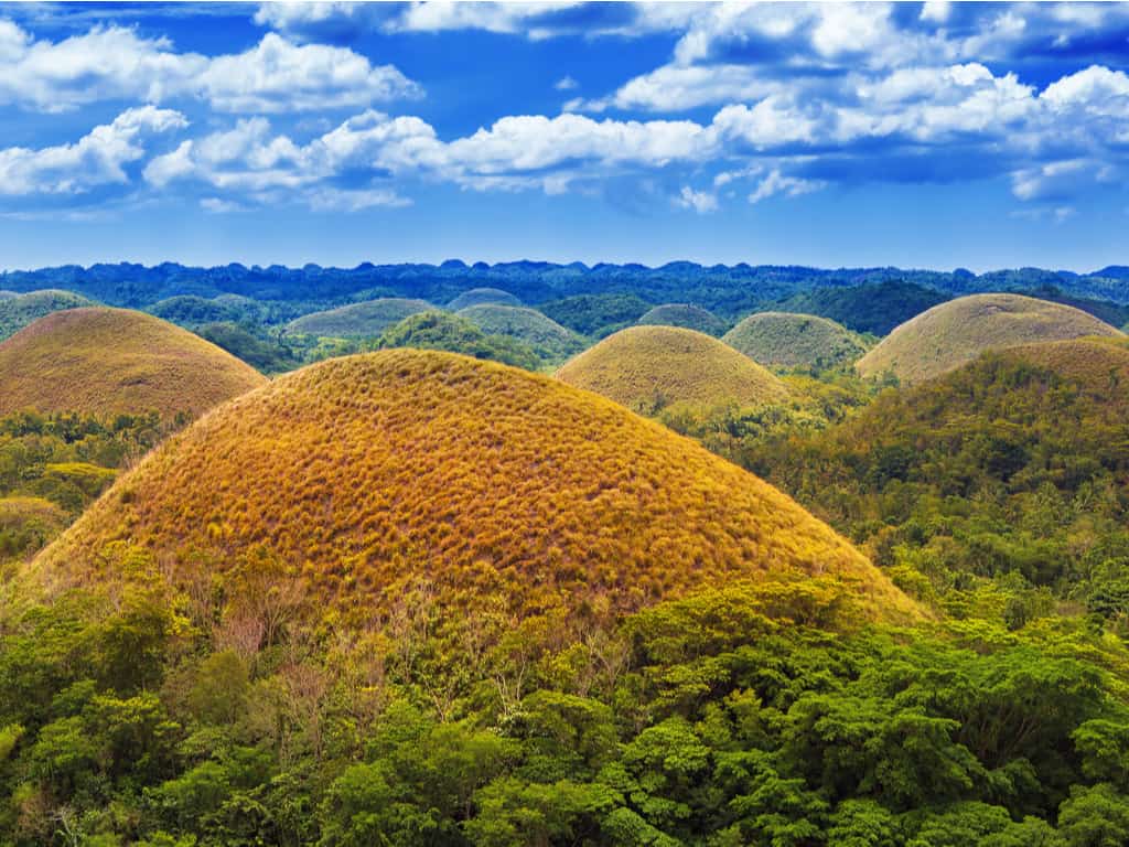 "Close-up of the grass-covered Chocolate Hills, resembling giant molehills against a blue sky.