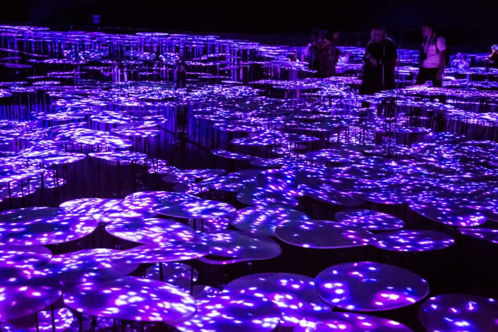 The 'Floating Nest' installation at TeamLab Borderless, with visitors lying in a netted area, surrounded by a cosmic light display.