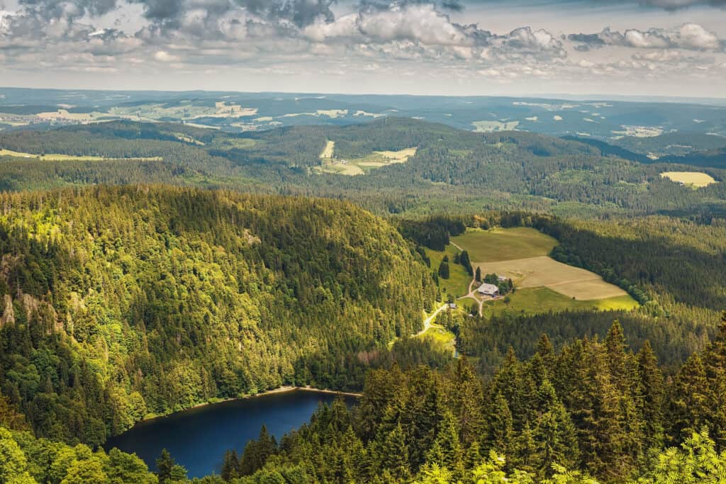 Serene Feldsee Lake View in the Black Forest, Germany