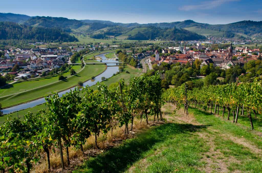 Scenic Overview of Gengenbach Town in Germany's Black Forest