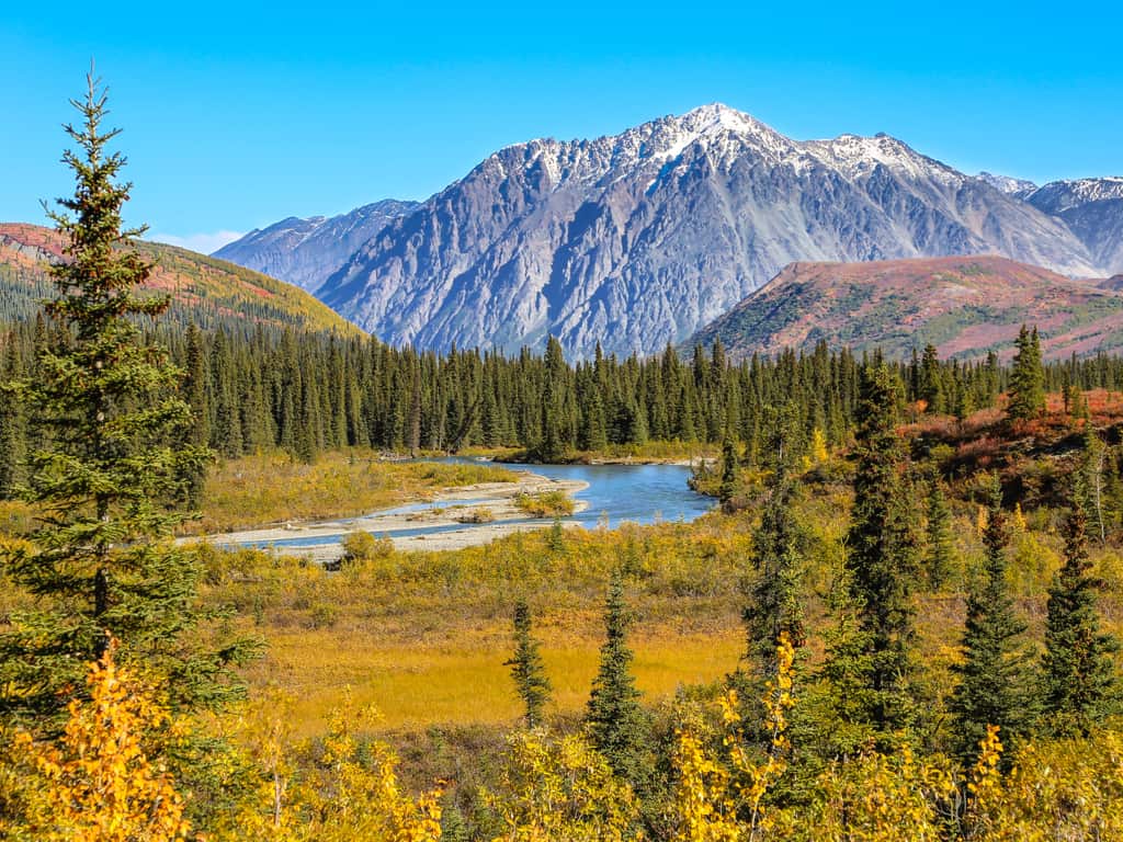 The stunning view of Denali, North America's highest peak, towering over the landscape in Denali National Park, Alaska