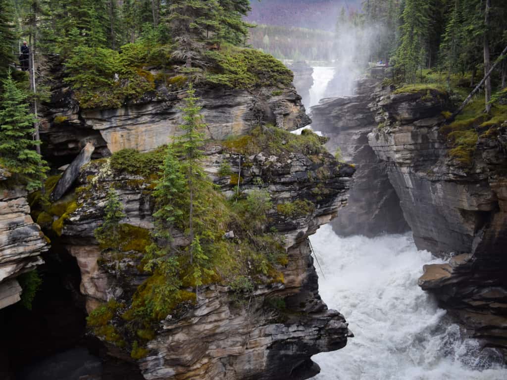 Close-up of the roaring waters of Athabasca Falls, illustrating the force of nature.