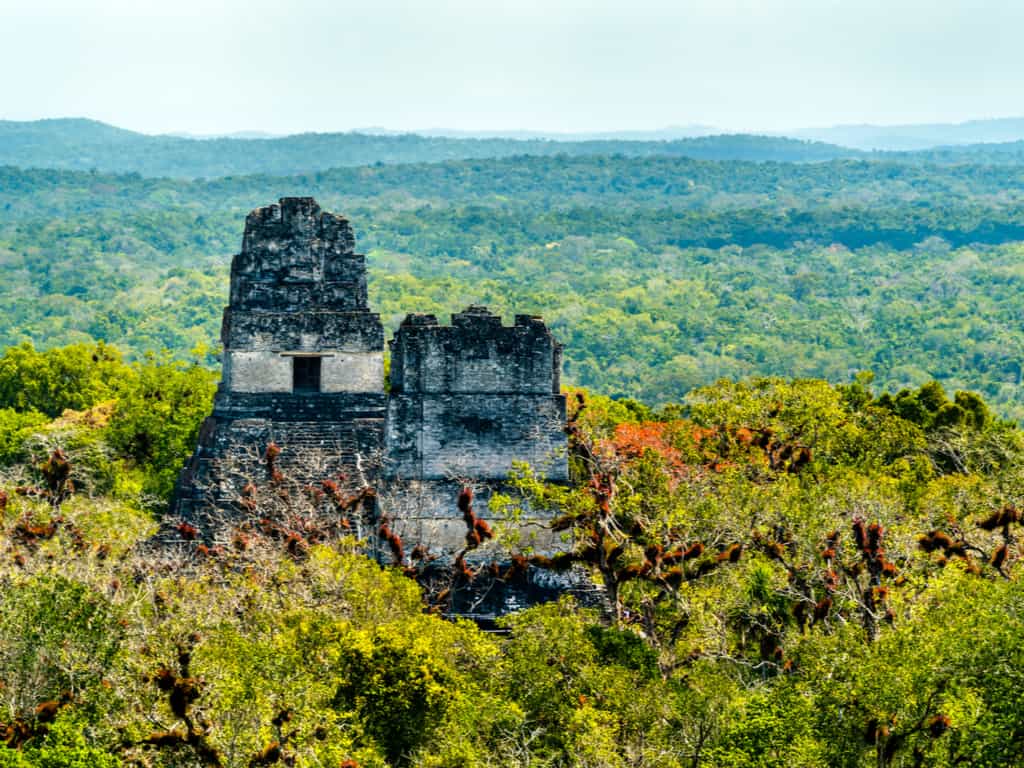 Aerial view of Tikal National Park, with the ruins emerging from the dense jungle