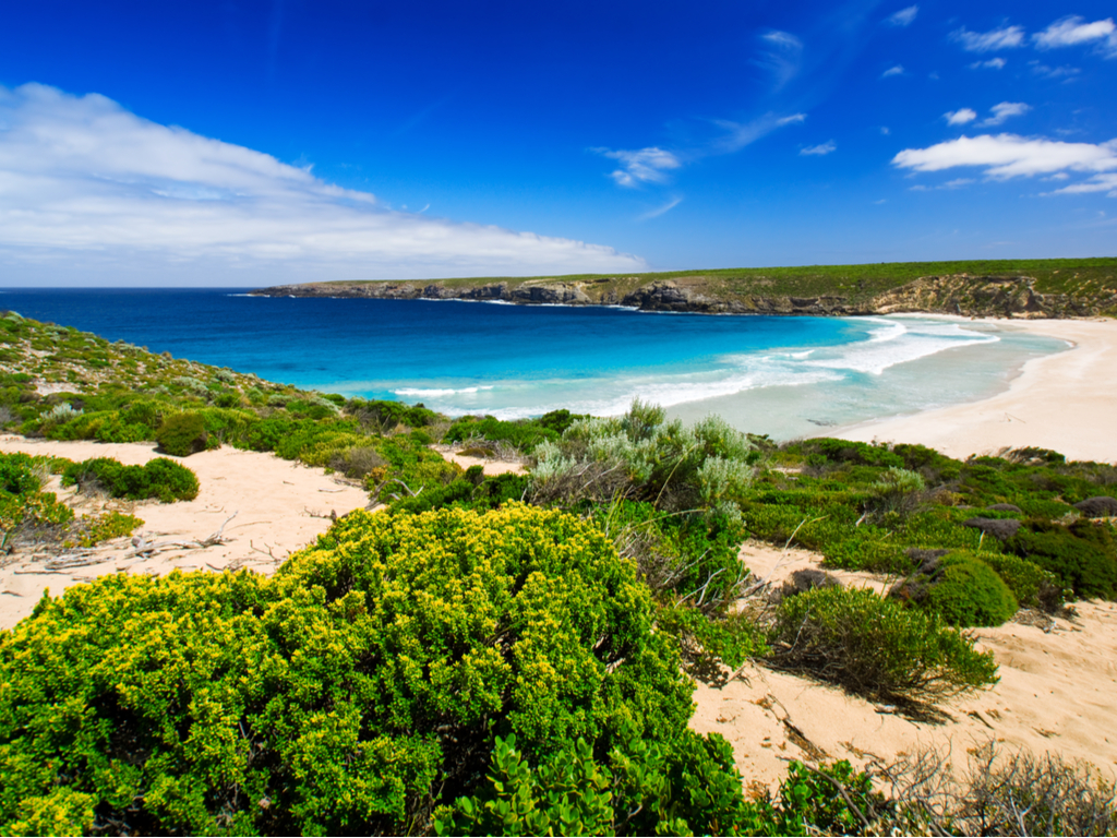 Vibrant Flinders Chase National Park in Kangaroo Island, Australia, showcasing diverse flora and fauna in a natural setting