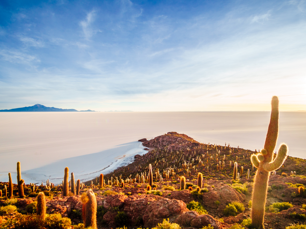 The picturesque Isla Incahuasi, an oasis of cacti and rock formations in the midst of Salar de Uyuni
